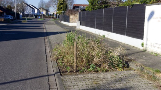 Die Baumbeete werden im Frühjahr neu bepflanzt