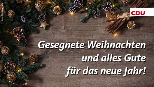 Gesegnete Weihnachten und alles Gute für das  neue Jahr!