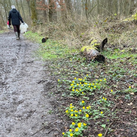 Copyright Gabriele Lauterbach